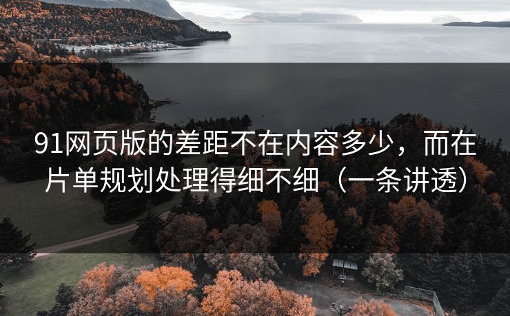 91网页版的差距不在内容多少，而在片单规划处理得细不细（一条讲透）