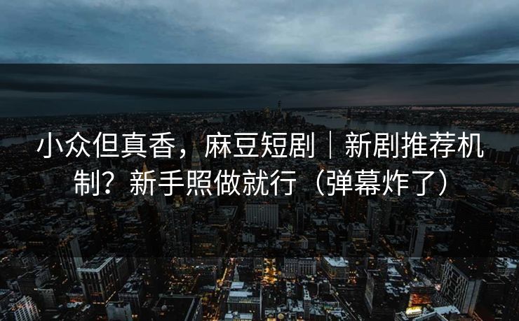 小众但真香，麻豆短剧｜新剧推荐机制？新手照做就行（弹幕炸了）