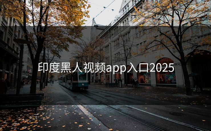 印度黑人视频app入口2025