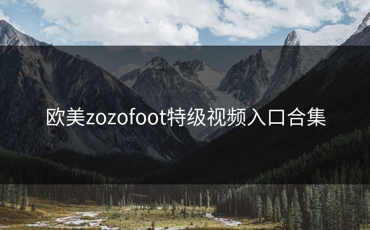 欧美zozofoot特级视频入口合集
