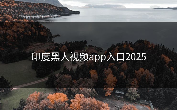 印度黑人视频app入口2025