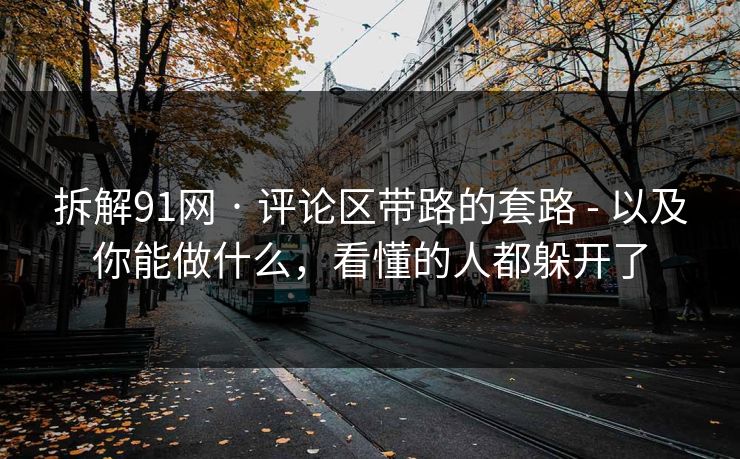 拆解91网 · 评论区带路的套路 - 以及你能做什么,看懂的人都躲开了 拆解91网 · 评论区带路的套路 - 以及你能做什么,看懂的人都躲开了